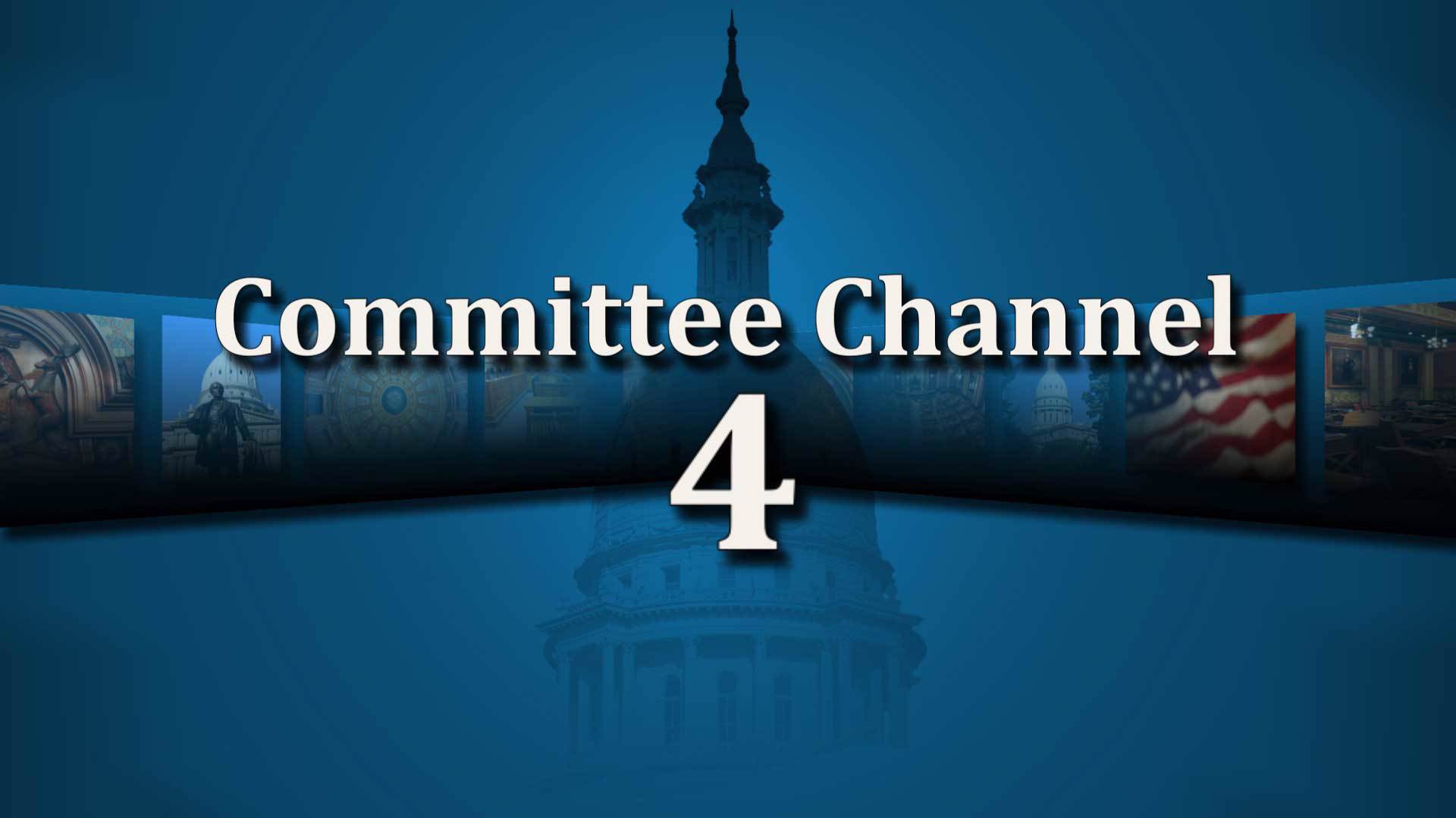 House Committee 4